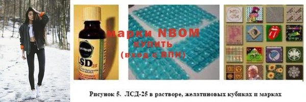 шишки Алексин