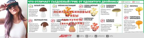 шишки Алексин
