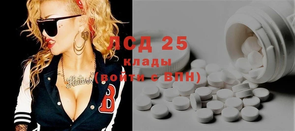 шишки Алексин