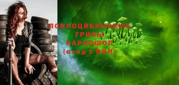 шишки Алексин