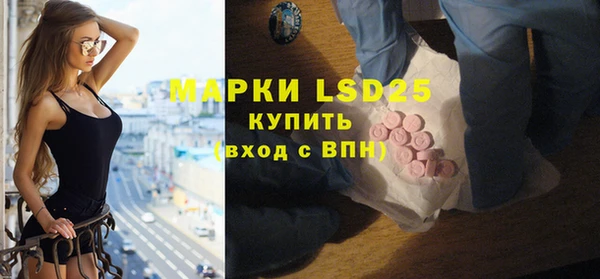 шишки Алексин